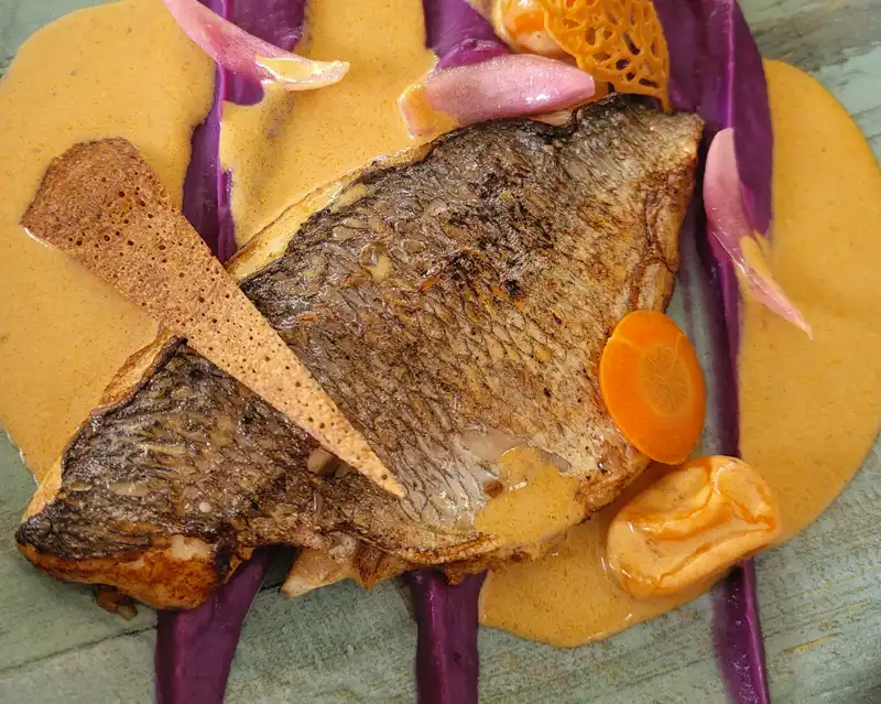 poisson-bretagne-22